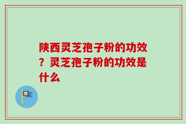 陕西灵芝孢子粉的功效?灵芝孢子粉的功效是什么 陕西灵芝孢子粉的功效?灵芝孢子粉的功效是什么