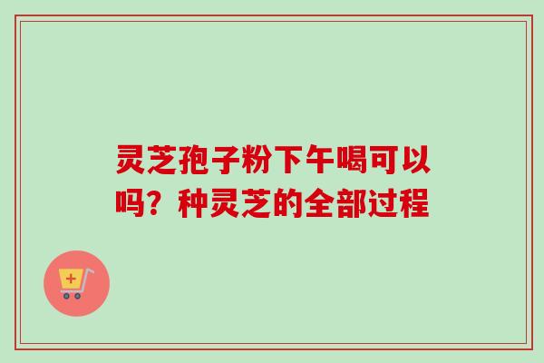 灵芝孢子粉下午喝可以吗?种灵芝的全部过程 灵芝孢子粉下午喝可以吗?种灵芝的全部过程