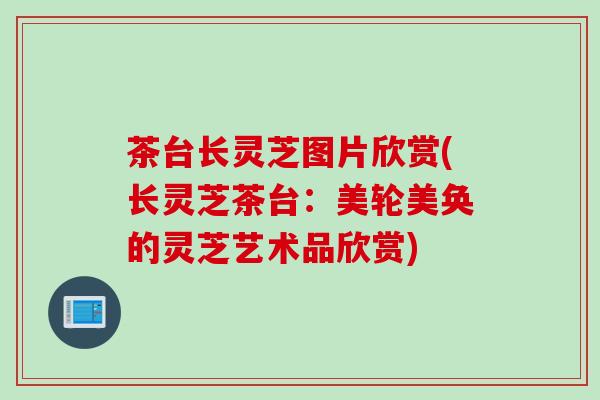 茶台长灵芝图片欣赏(长灵芝茶台：美轮美奂的灵芝艺术品欣赏)