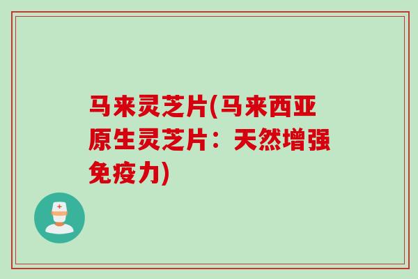 马来灵芝片(马来西亚原生灵芝片：天然增强免疫力)