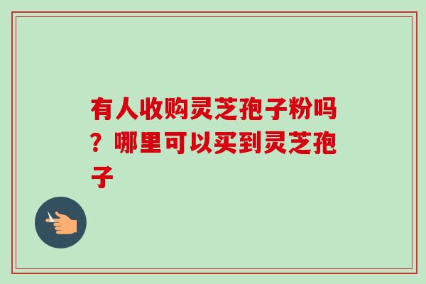 有人收购灵芝孢子粉吗？哪里可以买到灵芝孢子