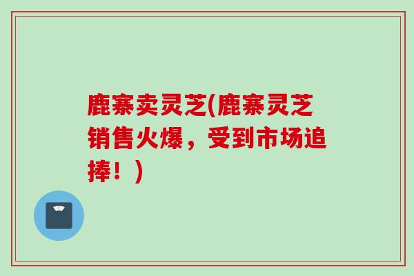 鹿寨卖灵芝(鹿寨灵芝销售火爆，受到市场追捧！)