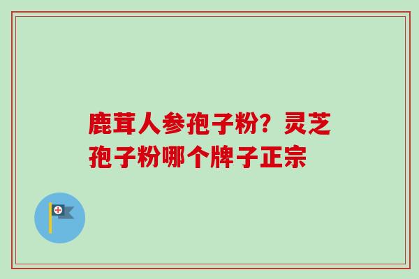 鹿茸人参孢子粉？灵芝孢子粉哪个牌子正宗