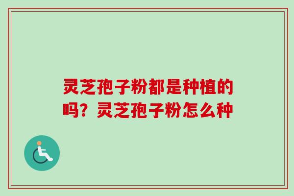 灵芝孢子粉都是种植的吗？灵芝孢子粉怎么种