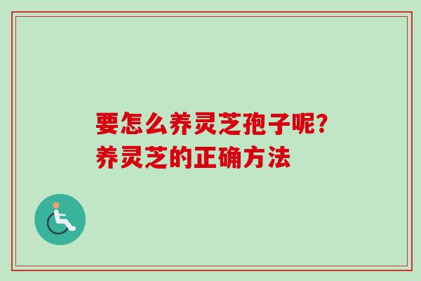 要怎么养灵芝孢子呢？养灵芝的正确方法