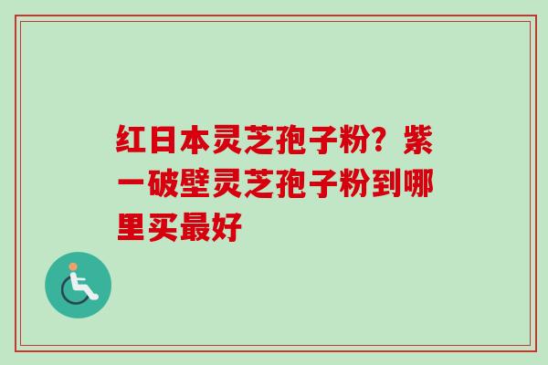 红日本灵芝孢子粉？紫一破壁灵芝孢子粉到哪里买最好