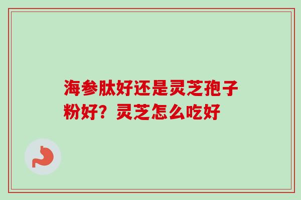 海参肽好还是灵芝孢子粉好？灵芝怎么吃好