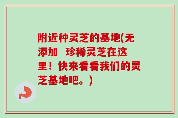 附近种灵芝的基地(无添加  珍稀灵芝在这里！快来看看我们的灵芝基地吧。)