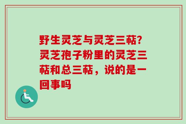 野生灵芝与灵芝三萜？灵芝孢子粉里的灵芝三萜和总三萜，说的是一回事吗