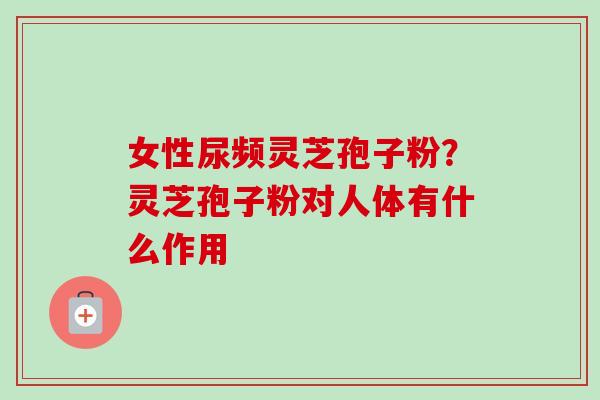 女性尿频灵芝孢子粉？灵芝孢子粉对人体有什么作用