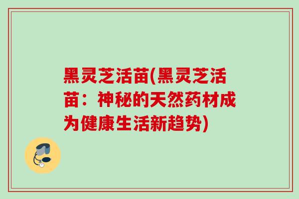 黑灵芝活苗(黑灵芝活苗：神秘的天然药材成为健康生活新趋势)