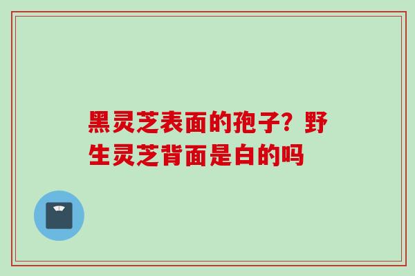黑灵芝表面的孢子？野生灵芝背面是白的吗