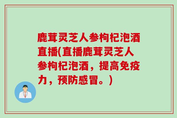 鹿茸灵芝人参枸杞泡酒直播(直播鹿茸灵芝人参枸杞泡酒，提高免疫力，预防感冒。)