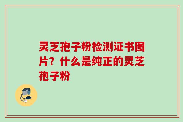 灵芝孢子粉检测证书图片？什么是纯正的灵芝孢子粉