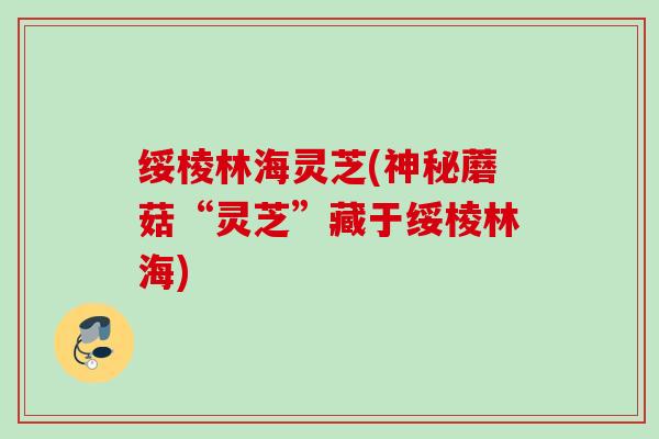 绥棱林海灵芝(神秘蘑菇“灵芝”藏于绥棱林海) 绥棱林海灵芝(神秘蘑菇“灵芝”藏于绥棱林海)