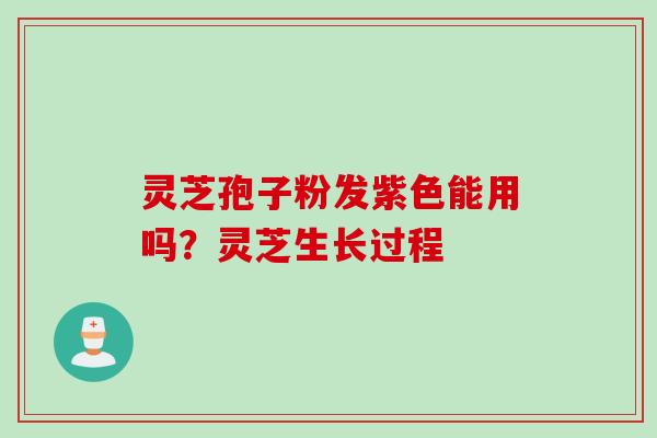 灵芝孢子粉发紫色能用吗？灵芝生长过程