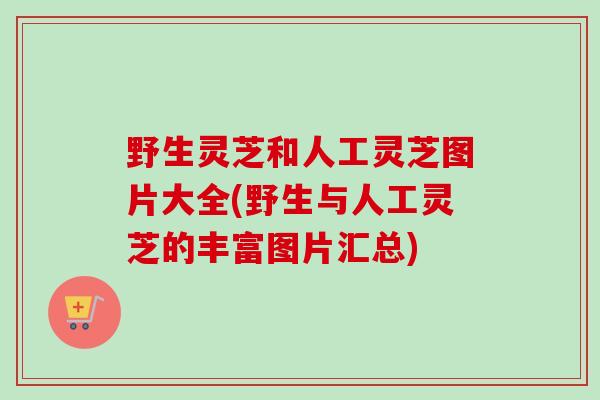 野生灵芝和人工灵芝图片大全(野生与人工灵芝的丰富图片汇总)