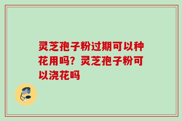 灵芝孢子粉过期可以种花用吗？灵芝孢子粉可以浇花吗