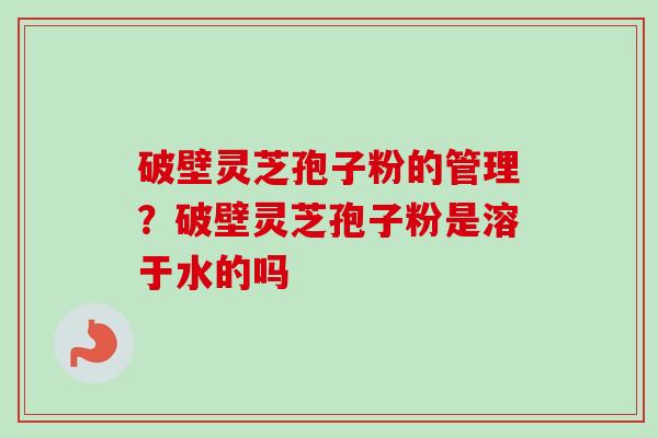 破壁灵芝孢子粉的管理？破壁灵芝孢子粉是溶于水的吗