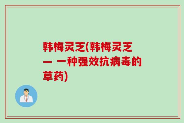 韩梅灵芝(韩梅灵芝 — 一种强效抗的草药) 韩梅灵芝(韩梅灵芝 — 一种强效抗的草药)