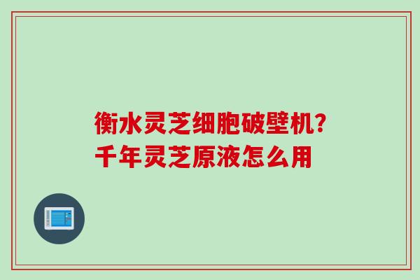 衡水灵芝细胞破壁机？千年灵芝原液怎么用