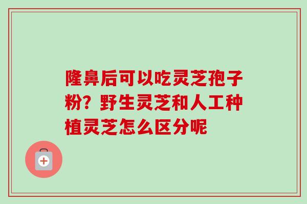 隆鼻后可以吃灵芝孢子粉？野生灵芝和人工种植灵芝怎么区分呢
