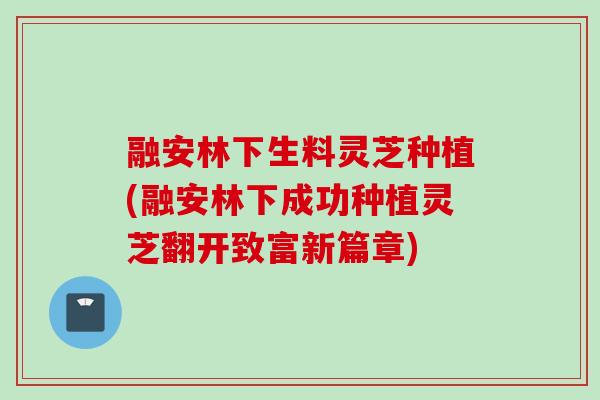 融安林下生料灵芝种植(融安林下成功种植灵芝翻开致富新篇章)