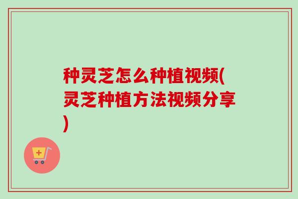 种灵芝怎么种植视频(灵芝种植方法视频分享)