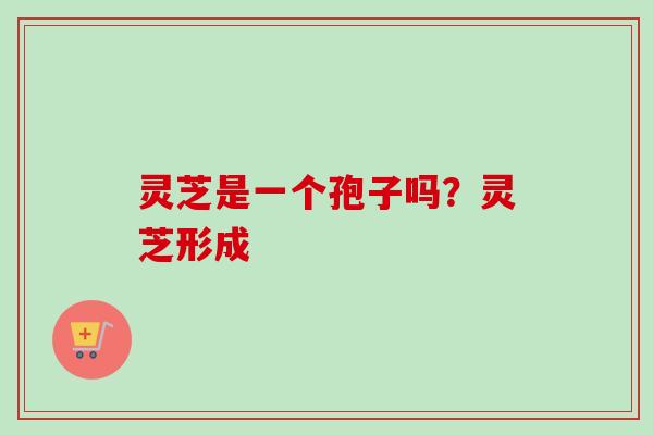 灵芝是一个孢子吗？灵芝形成