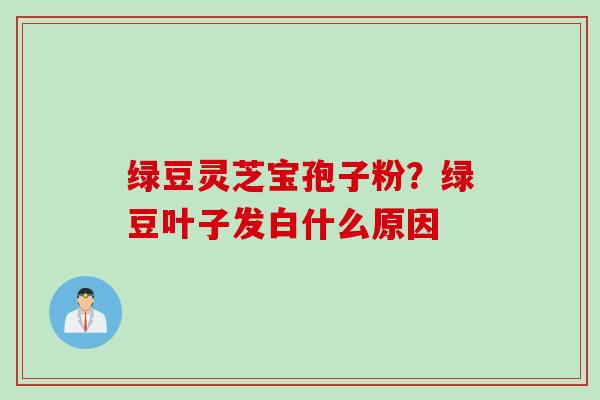 绿豆灵芝宝孢子粉？绿豆叶子发白什么原因