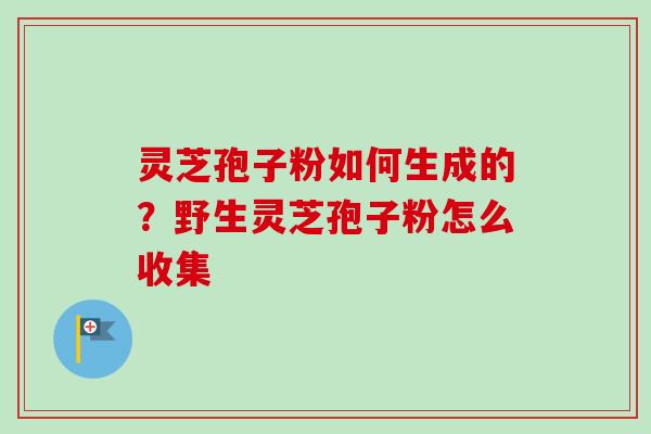 灵芝孢子粉如何生成的？野生灵芝孢子粉怎么收集