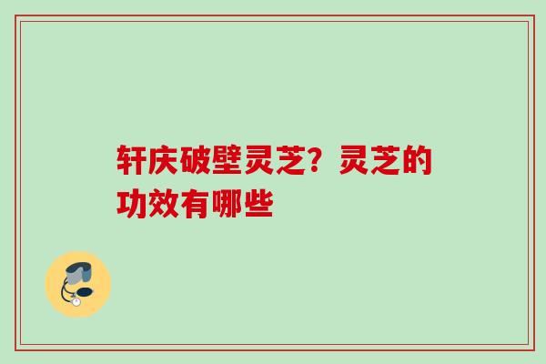 轩庆破壁灵芝？灵芝的功效有哪些