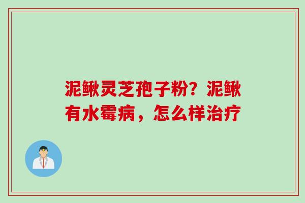 泥鳅灵芝孢子粉？泥鳅有水霉病，怎么样治疗