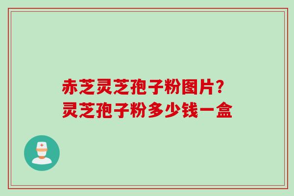 赤芝灵芝孢子粉图片？灵芝孢子粉多少钱一盒