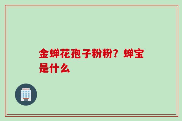 金蝉花孢子粉粉？蝉宝是什么