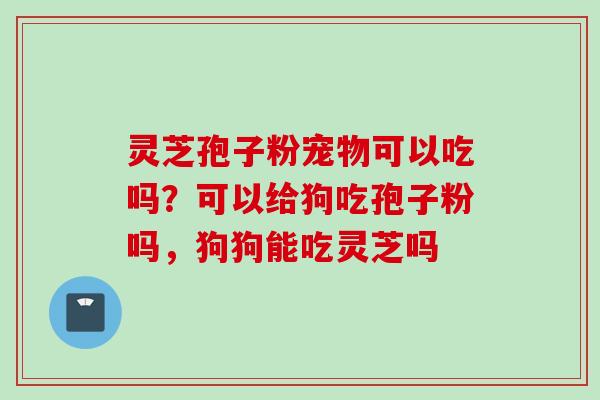 灵芝孢子粉宠物可以吃吗？可以给狗吃孢子粉吗，狗狗能吃灵芝吗