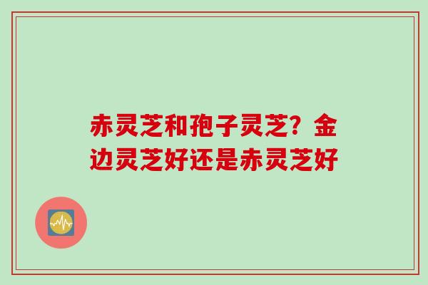 赤灵芝和孢子灵芝？金边灵芝好还是赤灵芝好