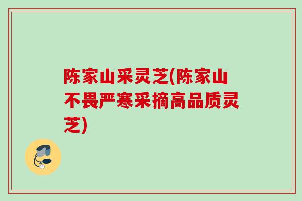 陈家山采灵芝(陈家山不畏严寒采摘高品质灵芝)