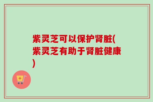 紫灵芝可以保护肾脏(紫灵芝有助于肾脏健康)