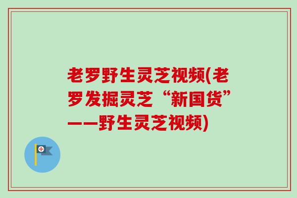 老罗野生灵芝视频(老罗发掘灵芝“新国货”——野生灵芝视频)