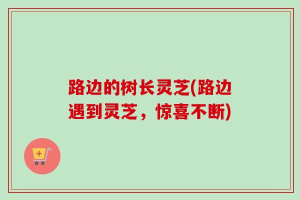 路边的树长灵芝(路边遇到灵芝，惊喜不断)