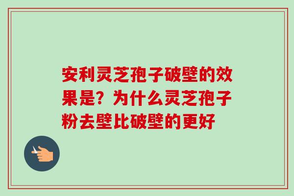 安利灵芝孢子破壁的效果是？为什么灵芝孢子粉去壁比破壁的更好
