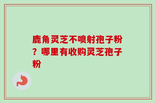 鹿角灵芝不喷射孢子粉？哪里有收购灵芝孢子粉