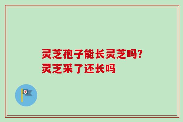 灵芝孢子能长灵芝吗?灵芝采了还长吗 灵芝孢子能长灵芝吗?灵芝采了还长吗