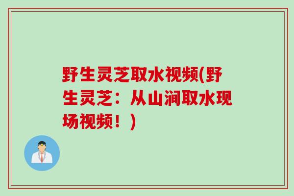 野生灵芝取水视频(野生灵芝：从山涧取水现场视频！)