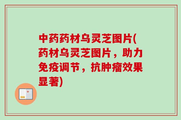 中药药材乌灵芝图片(药材乌灵芝图片，助力免疫调节，抗肿瘤效果显著)
