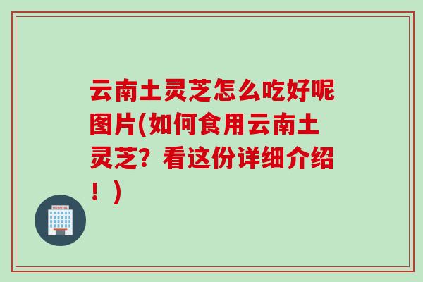 云南土灵芝怎么吃好呢图片(如何食用云南土灵芝？看这份详细介绍！)