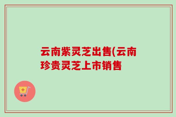 云南紫灵芝出售(云南珍贵灵芝上市销售