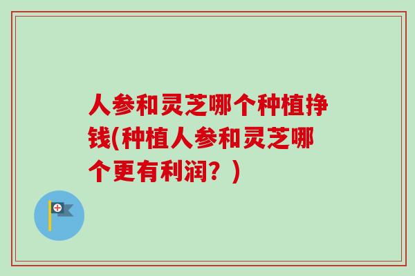 人参和灵芝哪个种植挣钱(种植人参和灵芝哪个更有利润?) 人参和灵芝哪个种植挣钱(种植人参和灵芝哪个更有利润?)