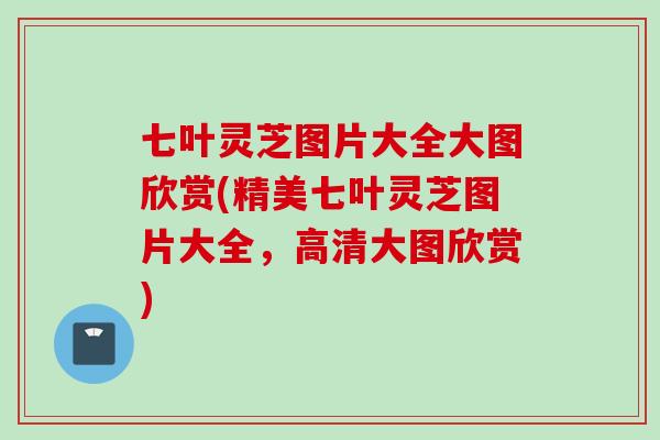 七叶灵芝图片大全大图欣赏(精美七叶灵芝图片大全,高清大图欣赏) 七叶灵芝图片大全大图欣赏(精美七叶灵芝图片大全,高清大图欣赏)
